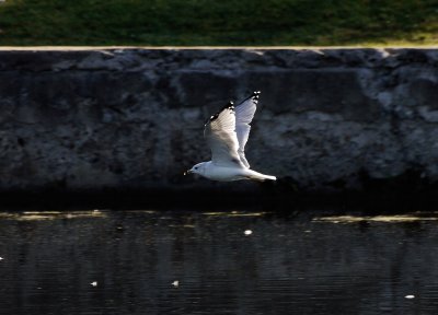 g1/58/592158/3/117180673.IzBAYF7c.jpg