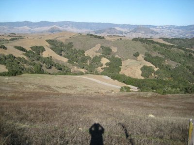 IMG_4073.jpg