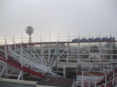 IMG_1920.jpg