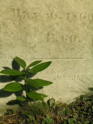 g1/58/6258/3/103466858.tTnvPzo0.jpg