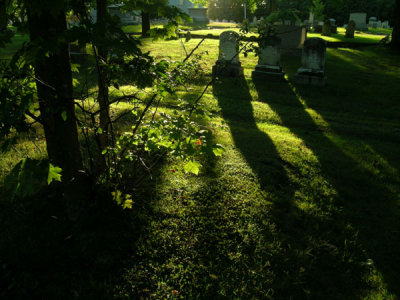 g1/58/6258/3/103642269.INimN47n.jpg