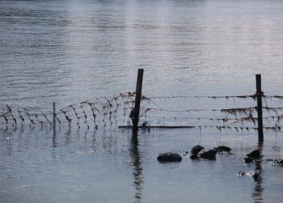 Submerged fence