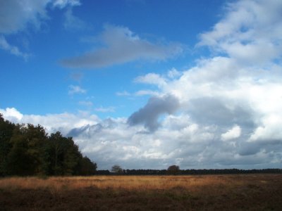 Clouds over heathland