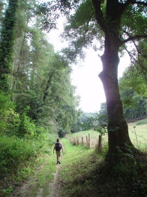 Rural hike