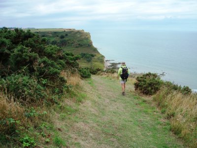 Coastal panorama