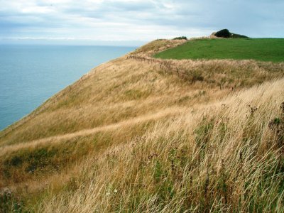 Grassy clifftops