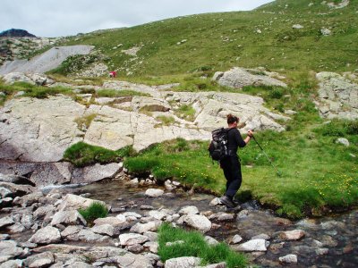 Crossing a streamlet