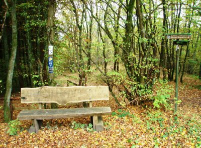 Bench and signpost