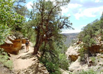 Into Spruce Canyon