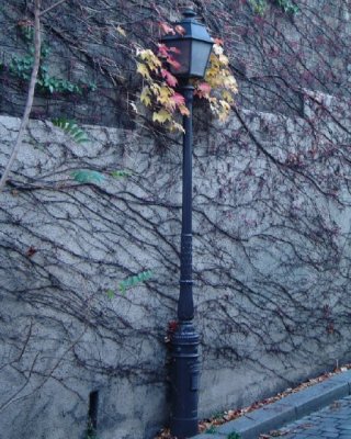 Rue St-Vincent Lamp