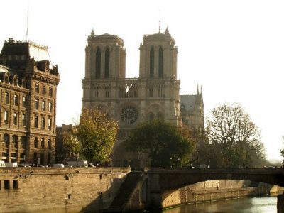 Notre Dame & le Petit Pont