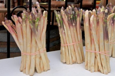 Asparagus Tabulus