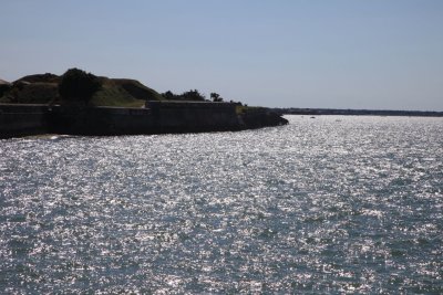 IMG_3565.jpg
