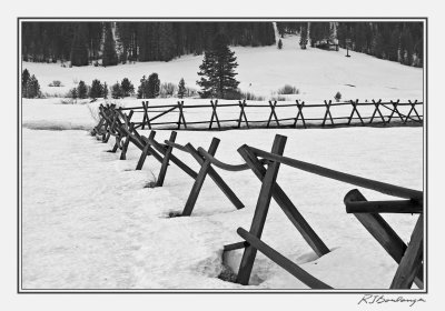 Fence In Snow