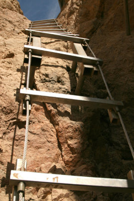 cv 344.jpg