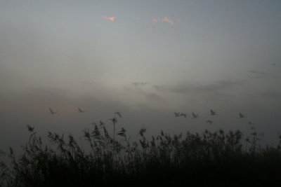 aa_pxl0209 248.jpg