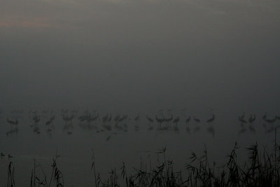 aa_pxl0209 301.jpg