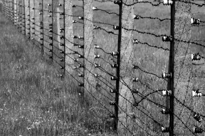 Auschwitz Birknau 490.jpg