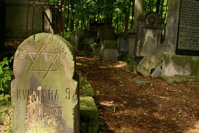 apln 023.jpg