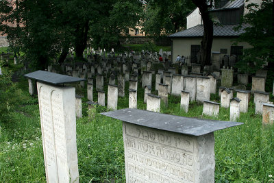 apln 371.jpg