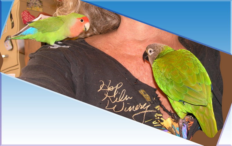 Mojito has customized my T-Shirt