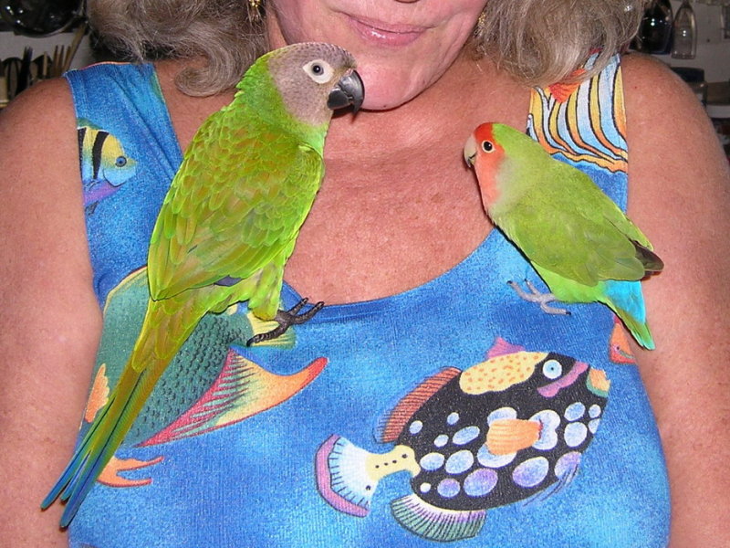 Mojito and Peachy on Mom