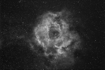 The rosette nebula