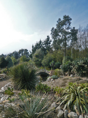 Arid Garden