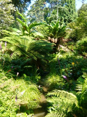 Abbotsbury Subtropical Garden