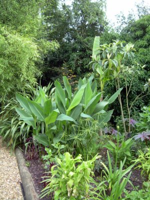 urban jungle - norwich