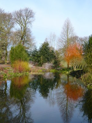 Beth Chatto's Garden (Colchester)