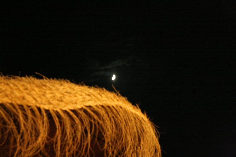 16082010-IMG_4752.jpg