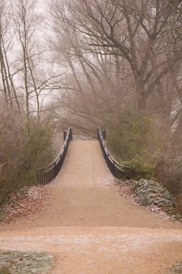 A bridge in the university parks