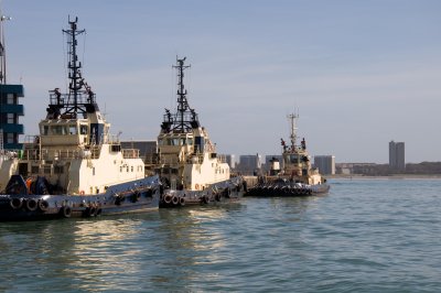 DSC_1005.jpg