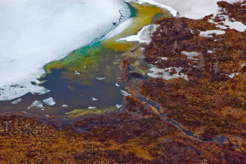 Tundra: Pyasina river