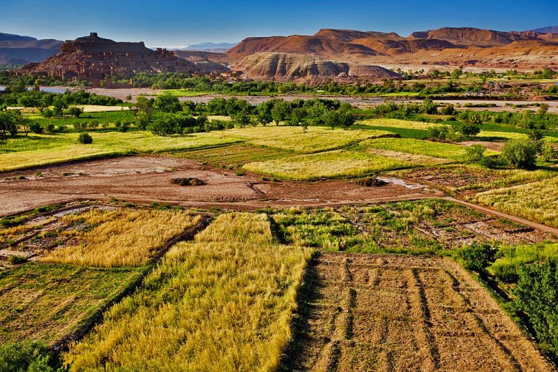 Valley of Ksar Ait Benhaddou