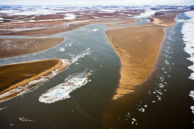 Tundra: Pyasina river