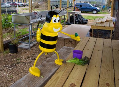 20090217_0459.jpg