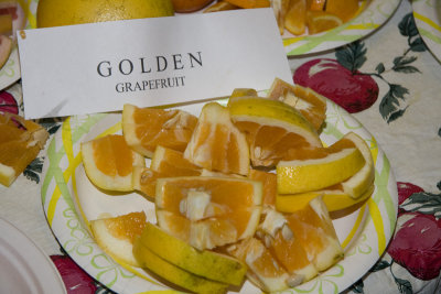 20080126-15.jpg