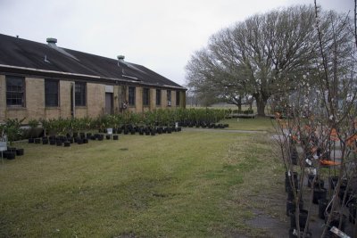 20080215-01.jpg