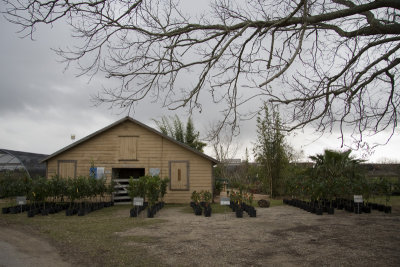 20080215-02.jpg