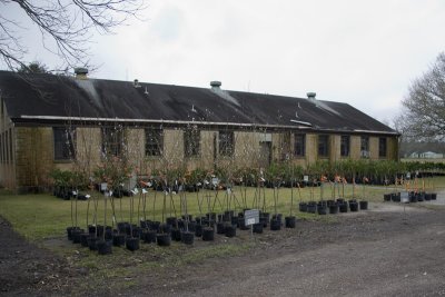 20080215-04.jpg