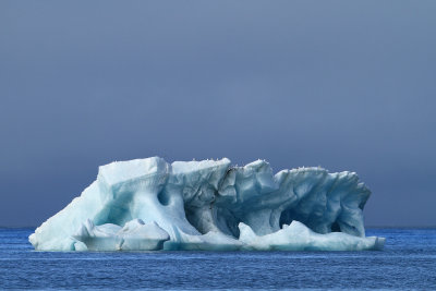 Iceberg