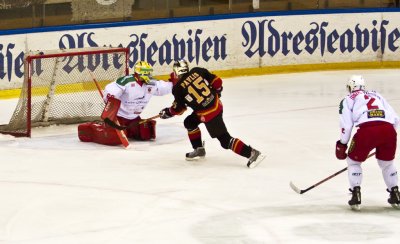 IMG_5600.jpg