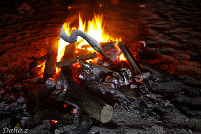 _MG_46801111.jpg