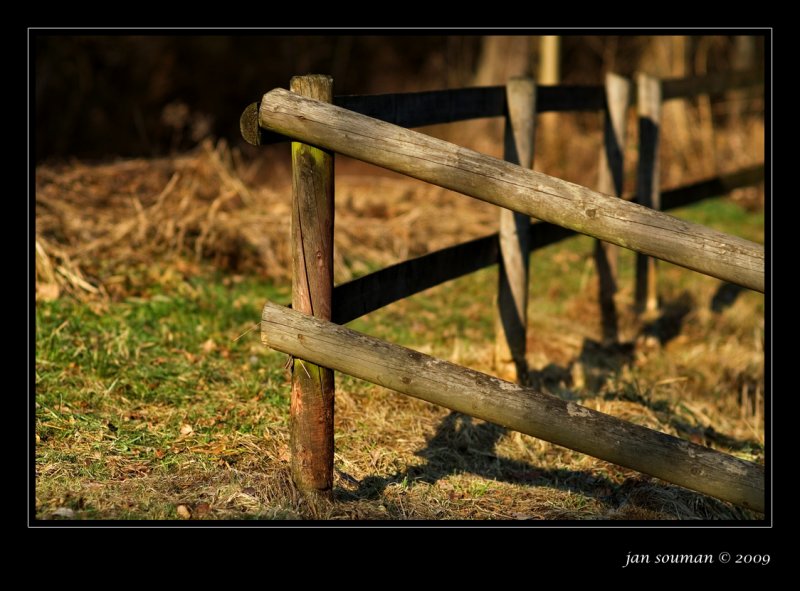 Fence