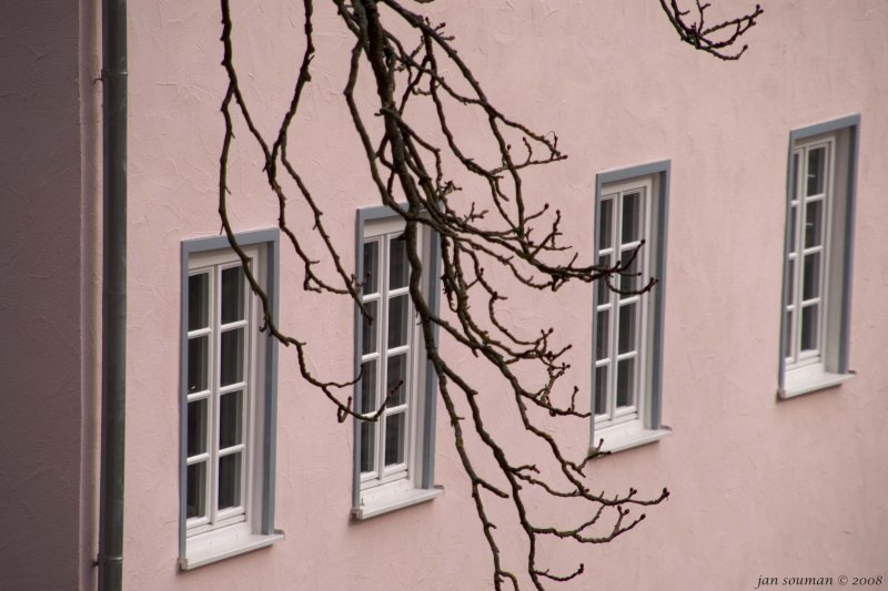 Windows with branch