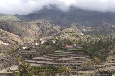 Alojera