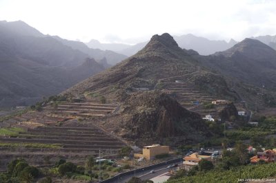 El Molinito