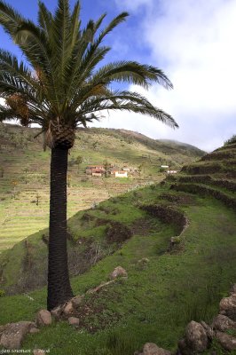Los Manantiales